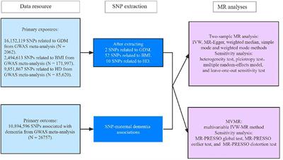 Evaluating the Causal Effects of Gestational Diabetes Mellitus, Heart Disease, and High Body Mass Index on Maternal Alzheimer’s Disease and Dementia: Multivariable Mendelian Randomization